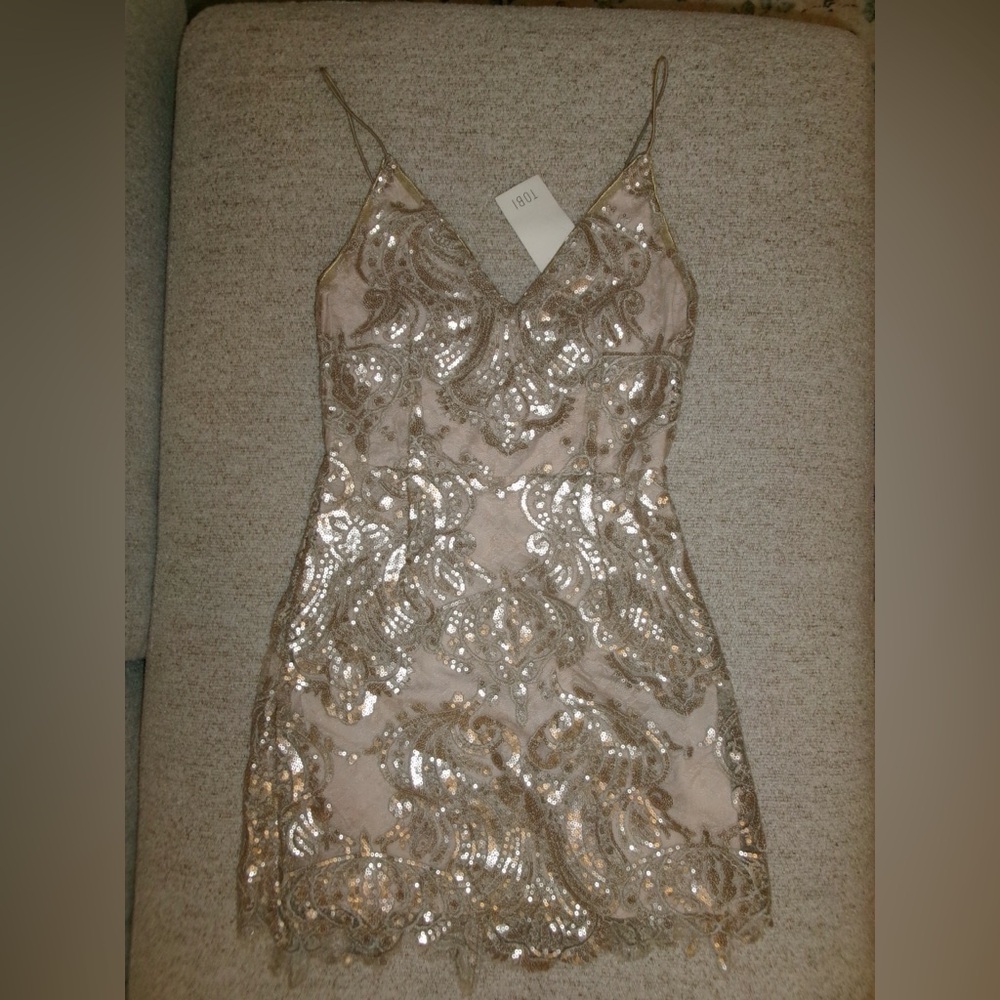 Tobi Sequin Mini Dress in Silver and Cream